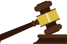 Ngày 6/12/2019, đấu giá hàng hóa tịch thu sung quỹ tại tỉnh Bình Dương