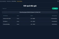 Kết quả đấu giá ngày 15/09/2023 thời gian từ 14:45 đến 15:45