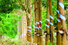 Ảnh chỉ mang tính minh họa. Nguồn Internet