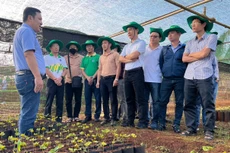 5 năm NPK Phú Mỹ đồng hành cùng nông dân cho mùa bội thu