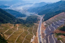 Ảnh chỉ mang tính minh họa. Nguồn Internet