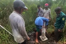 Cắm cọc giải phóng mặt bằng Dự án đường Vành đai 3, TP.HCM đoạn đi qua huyện Hóc Môn. Ảnh Internet