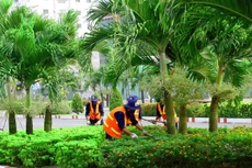 Ảnh chỉ mang tính minh họa. Nguồn Internet