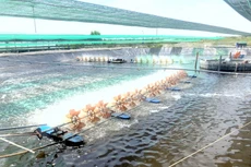 Ảnh chỉ mang tính minh họa. Nguồn Internet