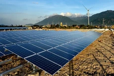 Ảnh chỉ mang tính minh họa. Nguồn Internet