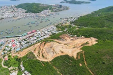 Ảnh chỉ mang tính minh họa. Nguồn Internet