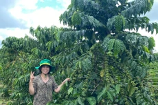 NPK Phú Mỹ: Hoàn thiện bộ sản phẩm bằng cái tâm