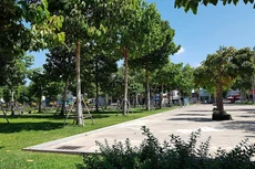 Phòng Quản lý đô thị Phan Thiết có quyết định phê duyệt danh sách nhà thầu đáp ứng yêu cầu về kỹ thuật tại Gói thầu số 04 Duy trì, chăm sóc hệ thống cây xanh đô thị thuộc Dự án Dịch vụ công trên địa bàn TP. Phan Thiết. Ảnh chỉ mang tính minh họa. Nguồn Internet