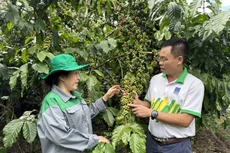 “Cho mùa bội thu” nhờ sử dụng phân bón hợp lý