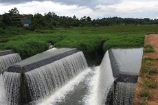 Ảnh chỉ mang tính minh họa. Nguồn Internet