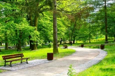 Gói thầu xây công viên tại xã Hoa Lộc phải hủy thầu vì các HSDT không đáp ứng yêu cầu. Ảnh chỉ mang tính minh họa. Nguồn Internet