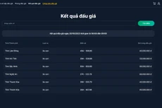 Kết quả đấu giá ngày 20/10/2023 thời gian từ 08:00 đến 09:00