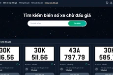 Các biển số xe chờ đấu giá