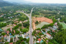 Ảnh chỉ mang tính minh họa. Nguồn Internet