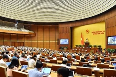 Một phiên họp toàn thể tại hội trường của Kỳ họp thứ 5, Quốc hội khóa XV. 