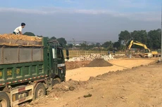 Ảnh chỉ mang tính minh họa. Nguồn Internet