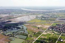 Ảnh chỉ mang tính minh họa. Nguồn Internet