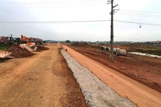 Ảnh chỉ mang tính minh họa. Nguồn Internet