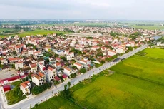 Ảnh chỉ mang tính minh họa. Nguồn Internet