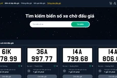 Danh sách biển số chờ đấu giá