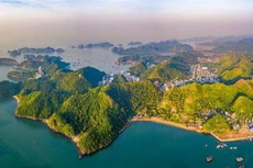 Ảnh chỉ mang tính minh họa. Nguồn Internet