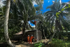 Ngành điện liên tục đầu tư xây dựng xây dựng mới hệ thống lưới điện để tăng cường cung cấp điện tại nhiều vùng nông thôn các tỉnh phía Nam