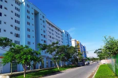 Ảnh chỉ mang tính minh họa. Nguồn Internet