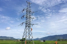 Ảnh chỉ mang tính minh họa. Nguồn Internet