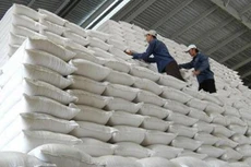 Cần triển khai kế hoạch lựa chọn nhà thầu cung cấp gạo dự trữ quốc gia đúng thời điểm