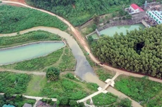 Ảnh chỉ mang tính minh họa. Nguồn Internet