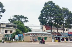 Khu đất cụm 5 ở TP.Vũng Tàu, tỉnh Bà Rịa - Vũng Tàu có vị trí đắc địa.