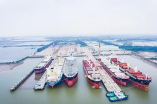 Ảnh chỉ mang tính minh họa. Nguồn Internet