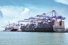 Tàu bốc dỡ container ở cảng Tân Cảng - Cái Mép