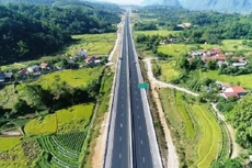 Ảnh chỉ mang tính minh họa. Nguồn Internet