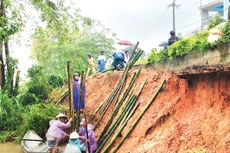 Ảnh chỉ mang tính minh họa. Nguồn Internet