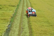 Bản tin thời sự sáng 5/8