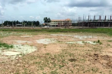 Ảnh chỉ mang tính minh họa. Nguồn Internet