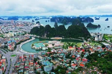 Ảnh chỉ mang tính minh họa. Nguồn Internet