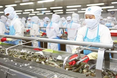 GDP 6 tháng đầu năm 2023 tăng 3,72%, khá thấp so với GDP cùng kỳ giai đoạn 2011 - 2023. Ảnh: Lê Tiên