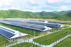 Phân tích dòng tiền từ hoạt động kinh doanh của Vinamilk