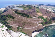 Ảnh chỉ mang tính minh họa. Nguồn Internet