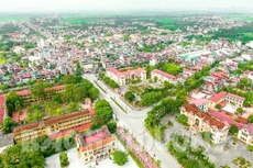 Ảnh chỉ mang tính minh họa. Nguồn Internet