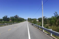 Ảnh chỉ mang tính minh họa. Nguồn Internet