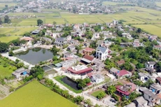 Ảnh chỉ mang tính minh họa. Nguồn Internet