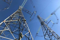 Ảnh chỉ mang tính minh họa. Nguồn Internet