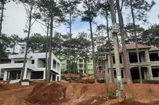 Xí đất để không, một công ty ở Kon Tum bị thu hồi đất