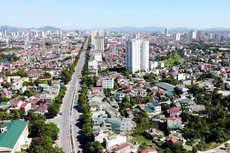 Các lô đất đấu giá thuộc khu quy hoạch chia lô đất tại các xã, phường trên địa bàn thành phố Vinh, tỉnh Nghệ An có tổng diện tích 7.748,77 m2