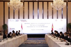 Quang cảnh Đối thoại doanh nghiệp Việt Nam-Singapore. Ảnh: TTXVN