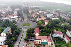 Ảnh chỉ mang tính minh họa. Nguồn Internet