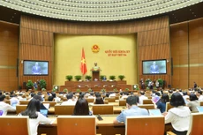 Ngày làm việc thứ năm (27/5), Quốc hội sẽ thảo luận ở hội trường về Dự án Luật Kinh doanh bảo hiểm (sửa đổi)